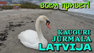 LATVIA, JURMALA, KAUGURI DISTRICT - May 5, 2023 - BEACH of RIGA GULF of BALTIC SEA / LIVING AREA