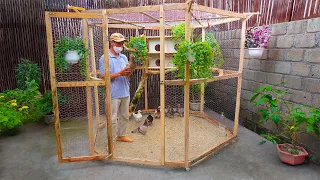 Make cheap bird cage for my wife | Complete guide | Bird cage designs