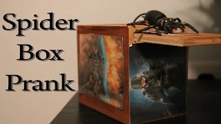 Spider Box Prank