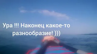 Воскресный нежданчик .