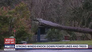 Strong winds knock down power lines & trees, snow pummels the passes | FOX 13 Seattle