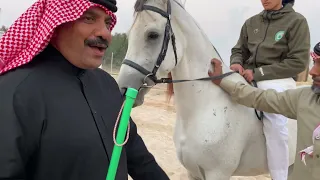 اسماء بعض الطيور في الخيل