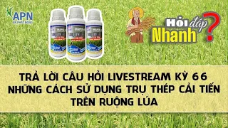 APN - GIẢI ĐÁP CÂU HỎI LIVESTREAM KỲ 66 - NHỮNG CÁCH SỬ DỤNG TRỤ THÉP CẢI TIẾN TRÊN RUỘNG LÚA