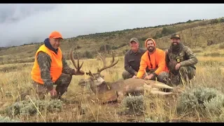 Henry Mountain Mule Deer (GIANT Typical)