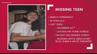 Have you seen this teen boy from Mesa? Maricopa County Sheriff's Office asking for help in search