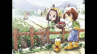 Harvest Moon Back to nature - town theme 1 hour loop