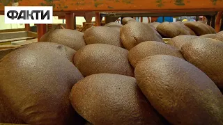 Подорожание хлеба в Украине: в январе цены вырастут на 10%