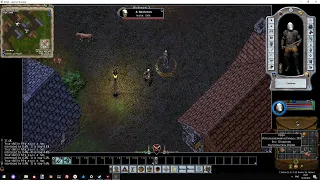 гайд Ultima Online официальный сервер -введение