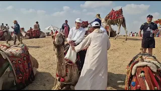 30/10/22: Egyptian camel ride.