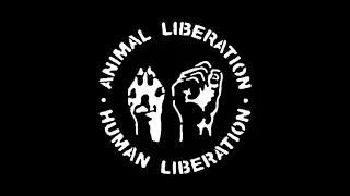 Podcast #184 - Libertação Animal, Veganismo e Política