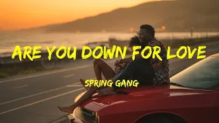 Are You down for Love -  spring gang Lyrics