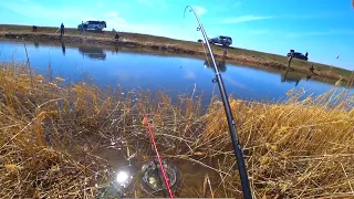 Рыбалка в Запрет! Озеро Майбалык! Карась на Поплавок! Рыбалка в Казахстане!