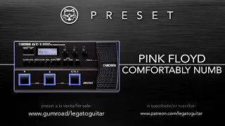 Pink Floyd - Comfortably Numb (Boss GT-1)