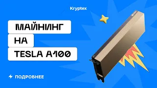 Майнинг на тесле! 7,5 миллионов рублей в майнинге — Тесты сервера с NVIDIA Tesla A100 в Криптексе