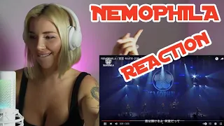 NEMOPHILA - RAITEI 🤘🔥 (REACTION)