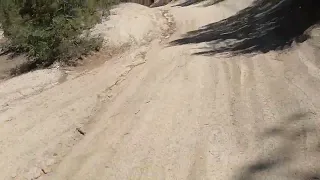 Idyllwild Roller Coaster