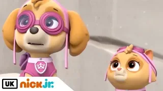 Paw Patrol | Pups Save a Flying Kitty | Nick Jr. UK