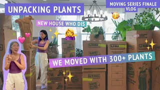 UNPACKING + UNBOXING all of the plants in my new house!! 🌿✨ Moving series finale 🤸‍♀️📦🌳💕