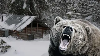 🐻/Дух Соинги/ Страшная встреча с медведем в Якутской тайге/