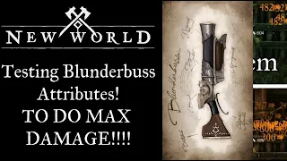 New World Blunderbuss Testing!! Which Attributes Are Best! MAX DAMAGE!