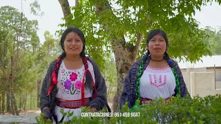 ORGANO JUVENTUD MIXTECO EL SON DE AMOLTEPEC