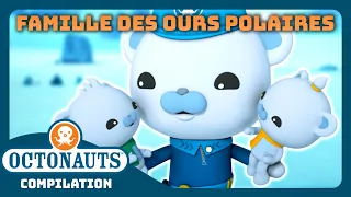 Octonauts - 🐻‍❄️ Missions arctiques : la famille des ours polaires 🐾🧊 | Compilation