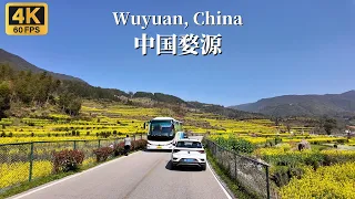 Driving to visit the beautiful rapeseed flower terraces - Jiangling Scenic Area in Wuyuan, China