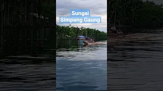 Sungai Simpang Gaung #healing #fishing #sungai #mancingmania #mancing