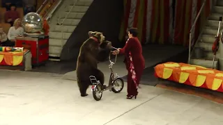 Медведь катается на велосипеде под Megadeth - Holy Wars...The Punishment Due