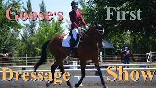 🥇 Gooses First EVER Dressage Test! 🎩 ║ Horseshow Vlog ║ 4 Year Old ║FEI Olympic Judge ║ Baby Horse ║