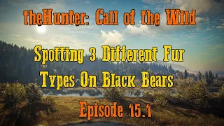theHunter: Call of the Wild Ep.15.1 - Spotting 3 Different Fur Types On Black Bears