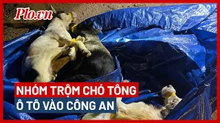 Nhóm trộm chó đi ô tô ở Bình Dương tông thẳng vào công an - PLO