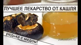 Лучшее средство от кашля для детей и взрослых - черная редька с медом