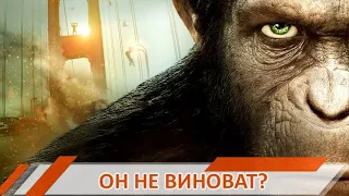 ОБЕЗЬЯНА НАПАЛА НА РЕБЕНКА: ВОССТАНИЕ ПЛАНЕТЫ ОБЕЗЬЯН В НИЖНЕМ ТАГИЛЕ | #4канал