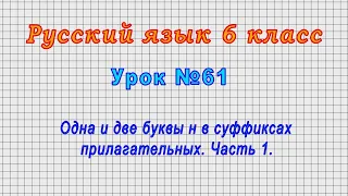 Русский язык 6 класс (Урок№61 - Одна и две буквы н в суффиксах прилагательных. Часть 1.)