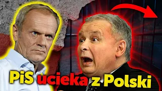 PiS ucieka z Polski. Ziobro, Obajtek, Kamiński, Wąsik mają kandydować do europarlamentu