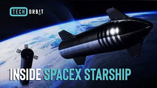 What Life Inside The SpaceX Starship Will Be Like! | SpaceX