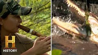 Swamp People: Pickle's SECRET Weapon Catches a HUGE Gator (Season 14)