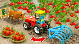 Top diy tractor making mini modern agriculture plough machine | diy tomato farming | HaiPhong Mini