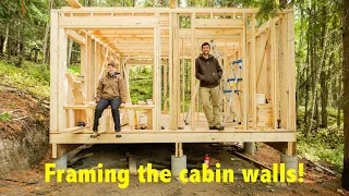 Framing and raising the walls of our cabin in the woods of Cariboo, BC - Cariboo Adventure Vlog #12