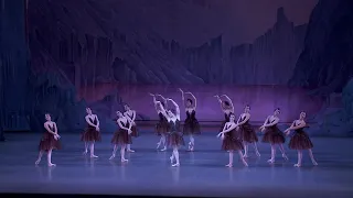 NYC Ballet's Emily Kikta on George Balanchine's SWAN LAKE: Anatomy of a Dance