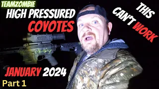 Hunting high pressured coyotes in late season 2024 i can't believe that worked.??