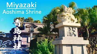 4K Japan Walk Tour with Relaxing ASMR Wave Sound in Aoshima Shrine Miyazaki - Sea with Rain Forest