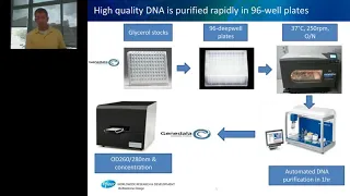 A Semi-Automated High-Throughput Transient Expression and Purification Platform..