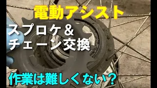 PASブレース系電動アシスト内装ギアのスプロケ交換作業