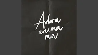 Adora anima mia (Live)