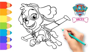 How to Draw Paw Patrol The Movie 🐾 Drawing Paw Patrol Skye