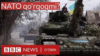 Львов ҳокими: НАТО қўрқоқлик қилаяпти - BBC News O'zbek