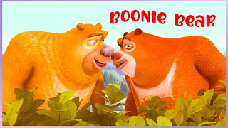 👀 Boonie Bears NEW 🐾 Two Heads Aren't Better Than One📚 Best episodes collection 🎬Bears Cartoon Movie