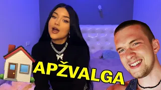 LIETUVOS YOUTUBERIU Namu Apzvalga